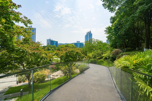 Stunning Wetland Park and Urban Skyline in Chongqing, China – Free Download