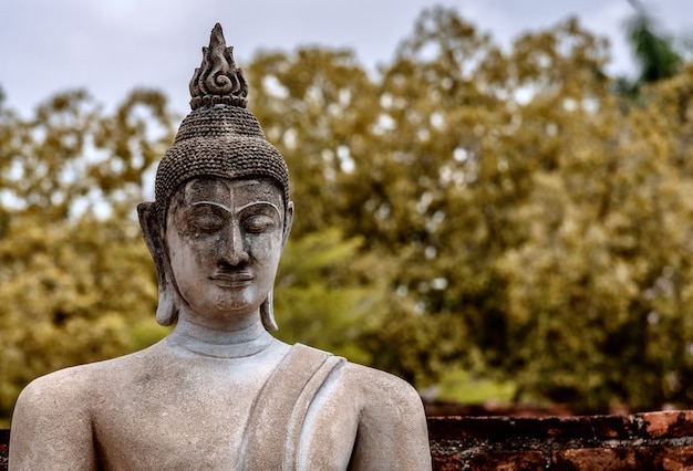 Old Buddha Statue in Shallow Focus – Free to Download