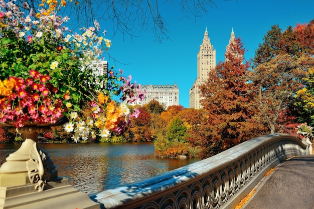 Autumn in Central Park with Midtown Manhattan Buildings – Free Download