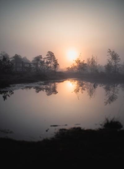 Stunning Sunset Lake Reflection Surrounded by Trees – Free Download