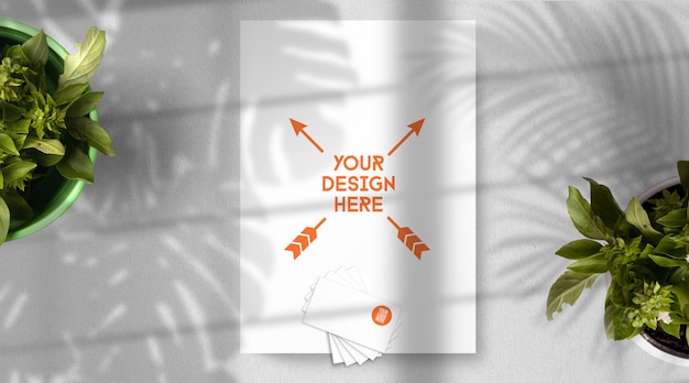 Top View Stationery Mockup in Tropical Environment – Free Download