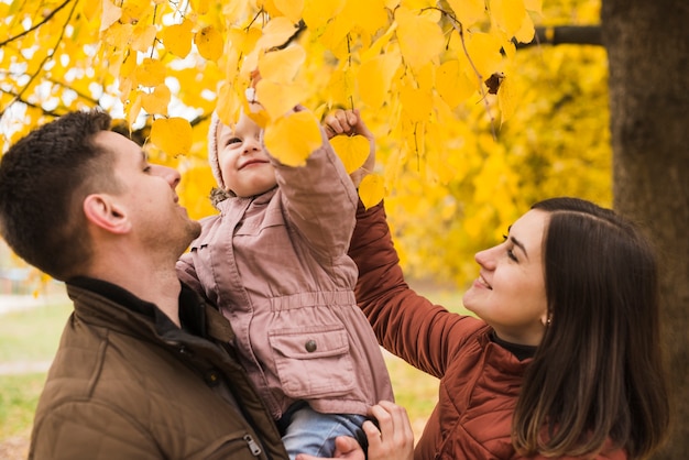 Parents Holding Daughter Touching Leaves – Free Download