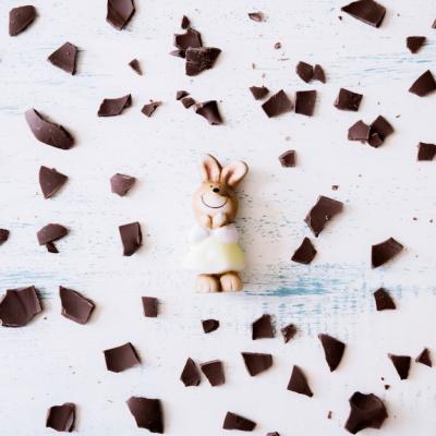 Toy Rabbit Surrounded by Delicious Chocolate – Free Download