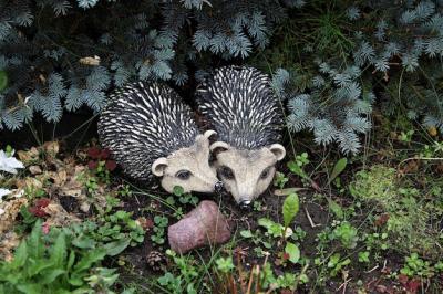 Hedgehog Garden Figures in Love – Free Stock Photo for Download