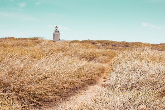 Stunning Landscape of Dry Greenery and Lighthouse Under a Blue Sky â Free Stock Photo for Download