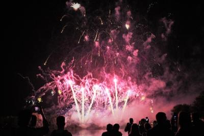 Silhouette of People Enjoying a Night Firework Display – Free to Download