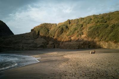 Stunning Piha Gap at Twilight – Free Stock Photo, Download for Free