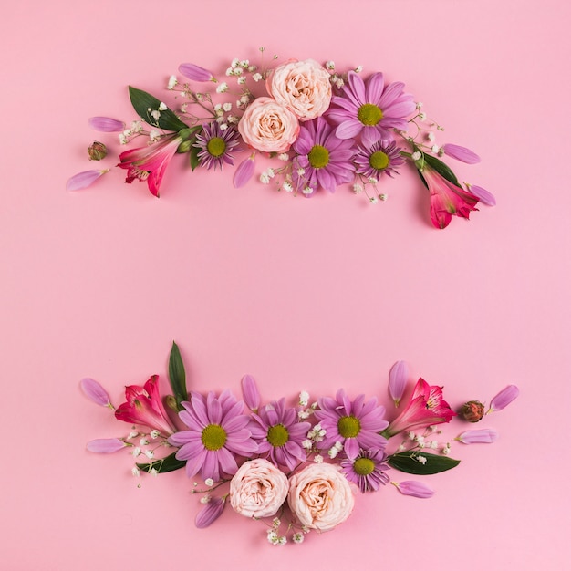 Vibrant Flower Decoration on Pink Background – Free Download