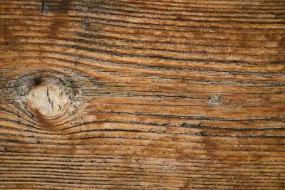 Wood Texture with Lines – Free Stock Photo, Download for Free