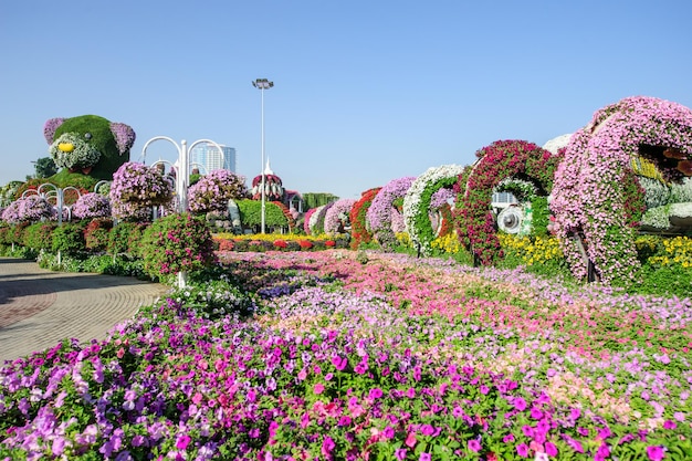 Explore Dubai Miracle Garden: Over 45 Million Blooms in UAE