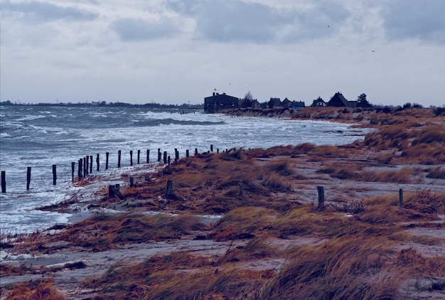 Land Surrounded by Bushes Near the Sea Under a Cloudy Sky – Free Stock Photo for Download