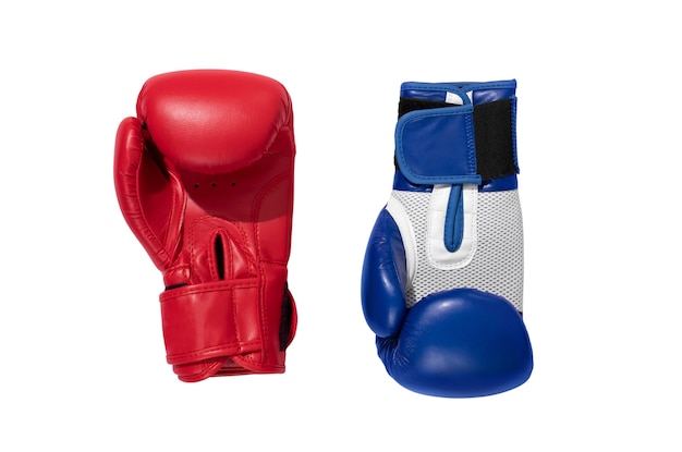 Boxing Gloves Isolated – Free Stock Photo for Download