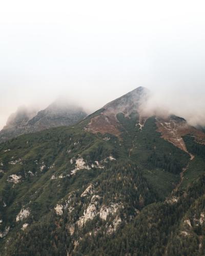 Stunning Vertical Shot of Forest-Covered Summit with Fog – Free Download