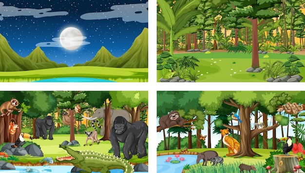 Horizontal Forest Scenes Featuring a Variety of Wild Animals – Free Download