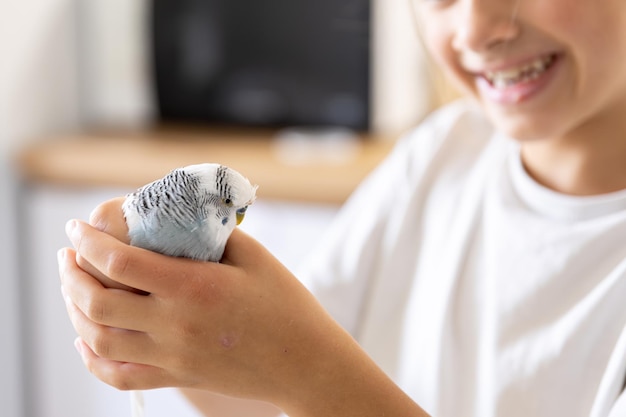 Playing Little Girl with a White and Blue Budgie – Free Download