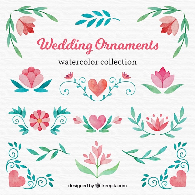 Watercolor Floral Wedding Ornament Collection – Free Stock Photos, Download Free