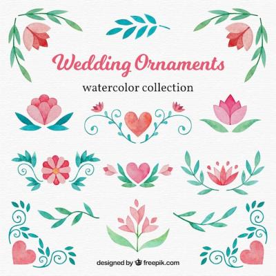 Watercolor Floral Wedding Ornament Collection – Free Stock Photos, Download Free