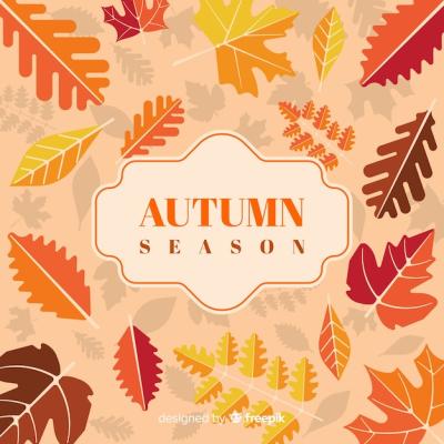 Autumn Background Featuring a Variety of Leaves – Free Download