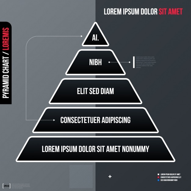 Infographic Template Design – Download Free Stock Photo