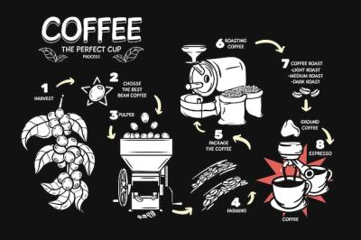 The Perfect Cup of Coffee Process – Free Stock Photo, Download for Free