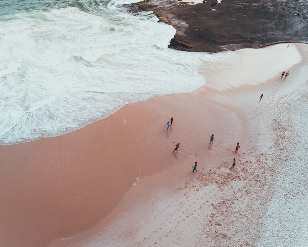 People Enjoying a Sunny Day at a Sandy Beach with Beautiful Waves – Free Download