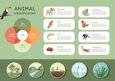 Hand Drawn Classification of Animals Infographic – Free to Download