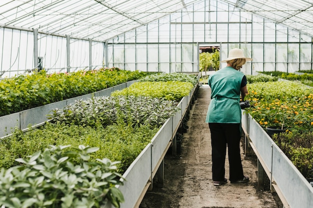 Woman Inside Greenhouse – Free Stock Photo for Download