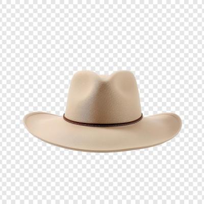 3D Beige Hat Isolated on Transparent Background – Free Download