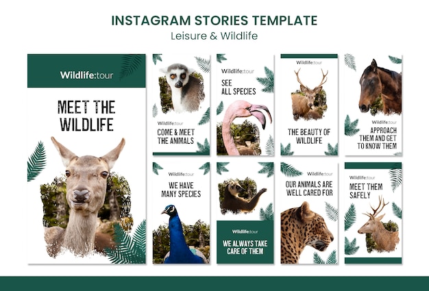 Wildlife Instagram Stories Template – Free Download