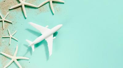 Small Toy Plane Surrounded by Sea Stars – Free Stock Photo for Download