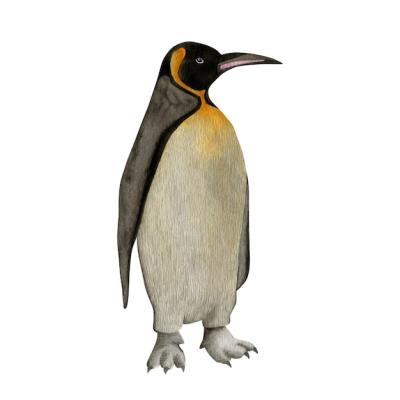 Penguin Watercolor Illustration Isolated on White Background – Free Download