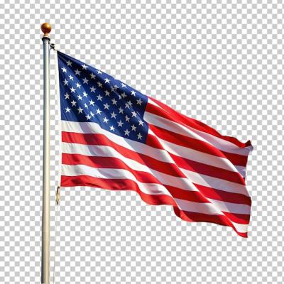 United States of America Flag – Free Download, Download Free Stock Photo