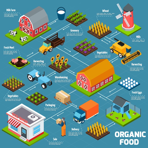 Organic Food Isometric Flowchart â Free Download