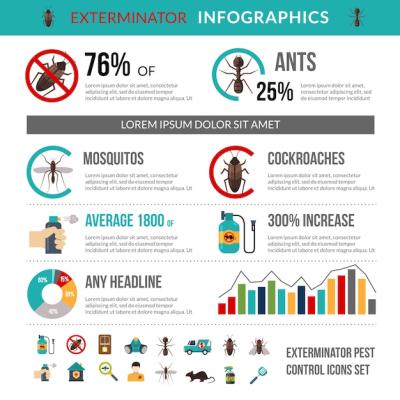 Exterminator Pest Control Infographics Layout Banner – Free Download