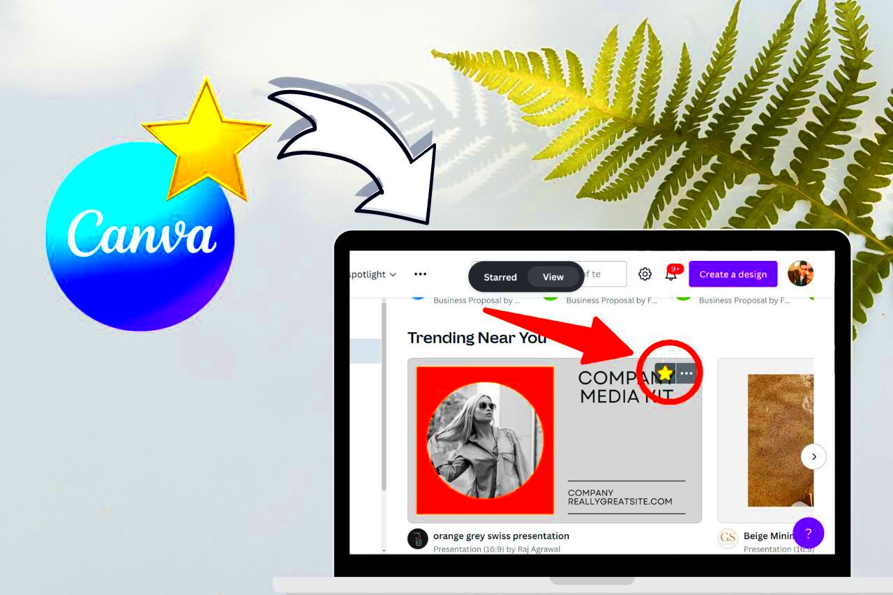 How To Find Starred Templates On Canva Easy Way