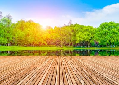 Mountains and Forest Reflection Under Blue Sky and White Clouds – Free Download