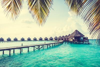 Maldives Island – Free Download, Download Free Stock Photo