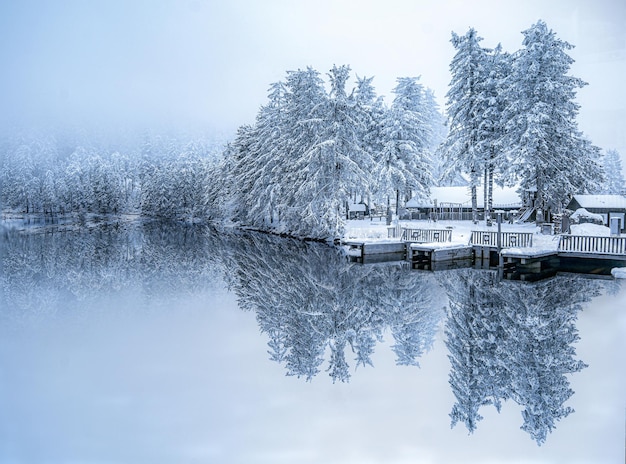 Snowy Forest Reflected on a Frozen Lake – Free Stock Photo, Download for Free