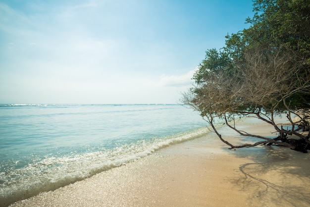 Stunning Indonesian Beach – Free Stock Photo for Download