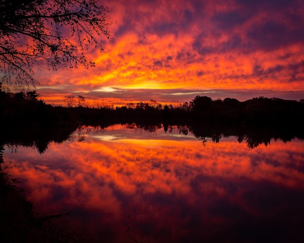 Scarlet Sunset Sky Over Lake and Forest: Dramatic Cloudscape Reflections – Free Download