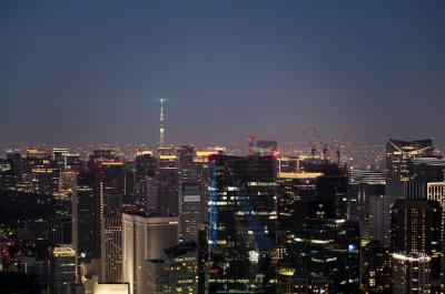 Beautiful City at Night: Stunning High Angle Free Stock Photo for Download