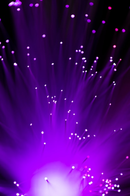 Close-Up of Purple Optical Fiber Lights – Free to Download