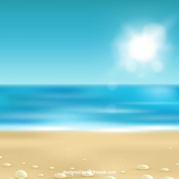 Tropical Beach Vector Template – Free Download