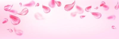 Pastel Background Featuring Pink Flower Petals for Spa Service – Free Download