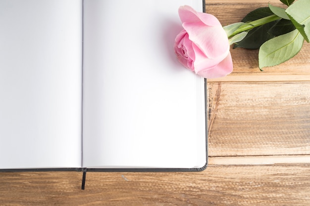 Close-up of Pink Rose on Blank Open Diary – Free Stock Photo for Download