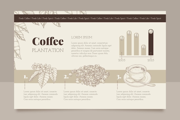 Hand Drawn Coffee Plantation Infographic – Free Download