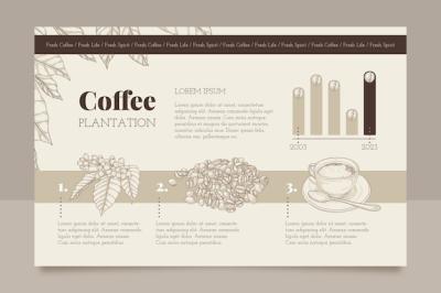 Hand Drawn Coffee Plantation Infographic – Free Download