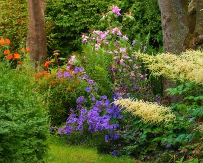 Late Summer Garden Panorama Photo – Free to Download