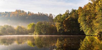 Autumn Landscape with Foggy Lake and Reflections in Styria, Austria – Free Stock Photo for Download