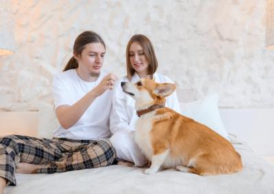 Happy Couple Relaxing Together with Funny Ginger Corgi Indoors – Free Download